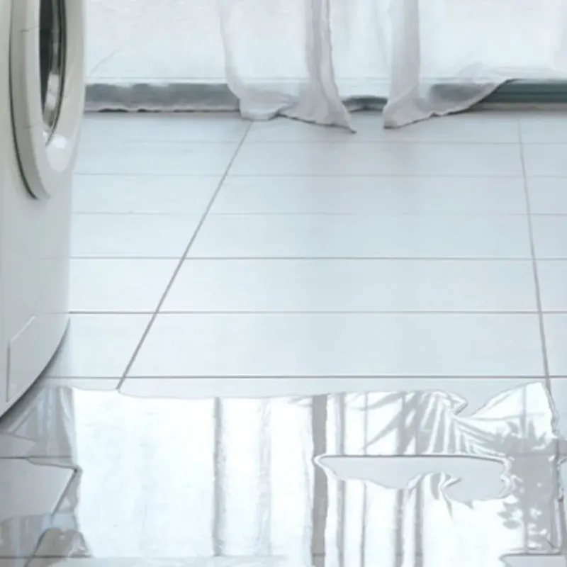 Appliance Leak Cleanup in Skokie, IL
