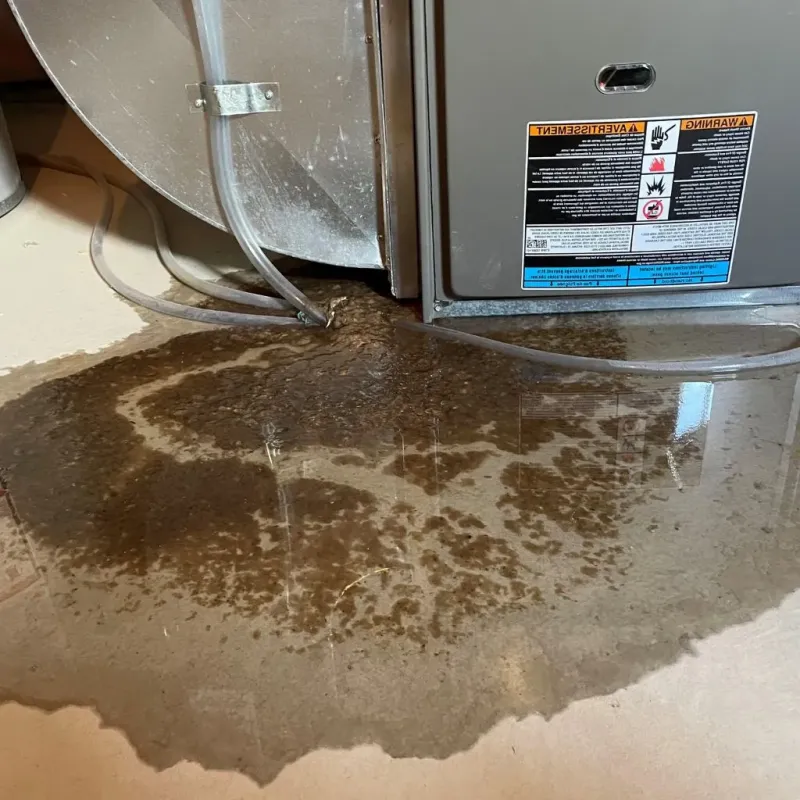 Pipe Burst and Leak Restoration in Skokie, IL